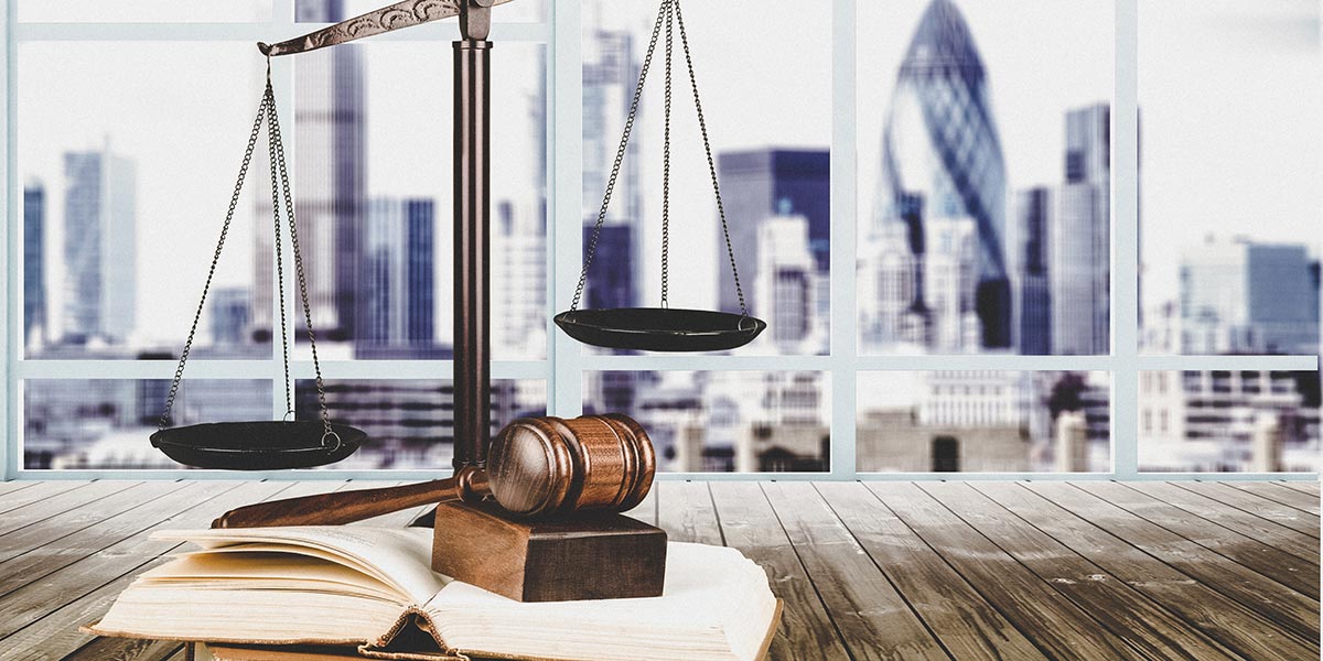 warranty and indemnity