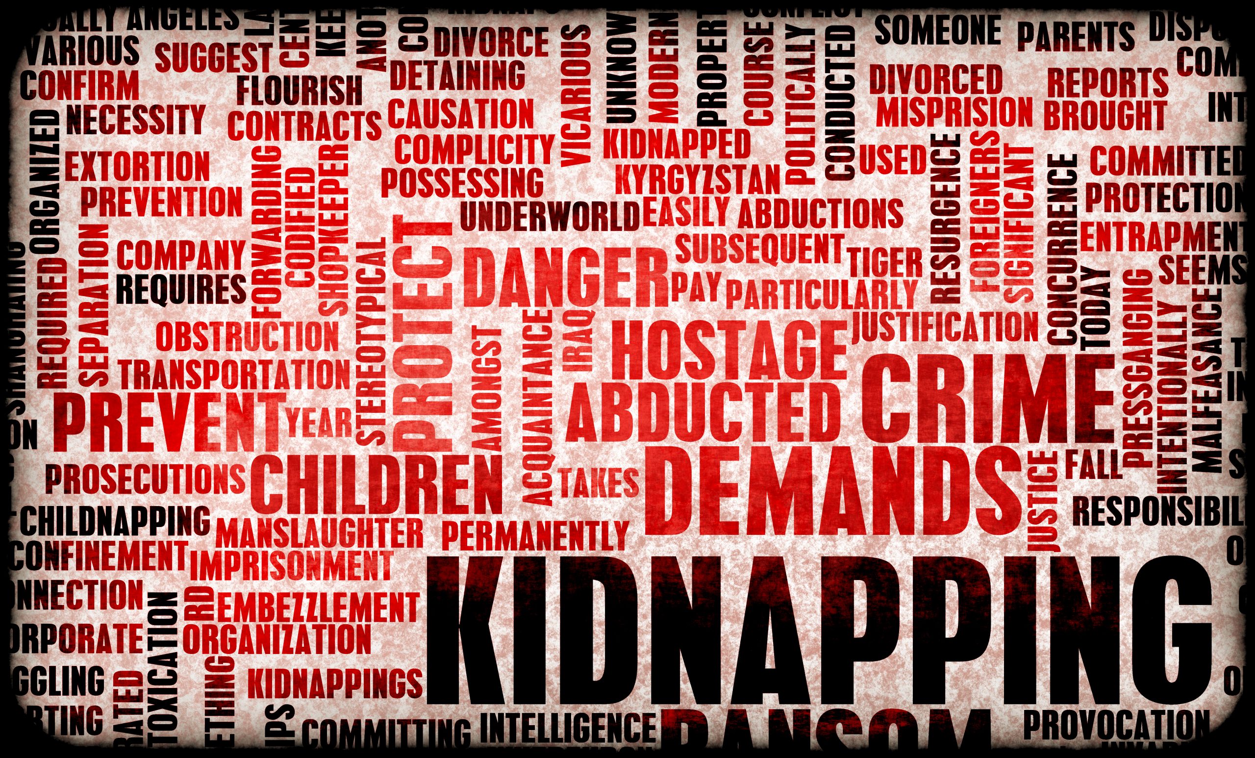 knr Kidnap & Response